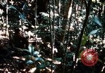 Image of 4th Infantry Division in Vietnam War Vietnam, 1969, second 24 stock footage video 65675025953