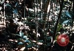 Image of 4th Infantry Division in Vietnam War Vietnam, 1969, second 25 stock footage video 65675025953
