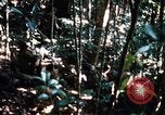 Image of 4th Infantry Division in Vietnam War Vietnam, 1969, second 27 stock footage video 65675025953