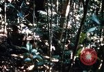 Image of 4th Infantry Division in Vietnam War Vietnam, 1969, second 28 stock footage video 65675025953