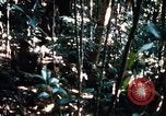 Image of 4th Infantry Division in Vietnam War Vietnam, 1969, second 29 stock footage video 65675025953