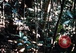 Image of 4th Infantry Division in Vietnam War Vietnam, 1969, second 30 stock footage video 65675025953