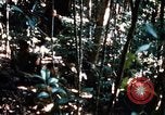 Image of 4th Infantry Division in Vietnam War Vietnam, 1969, second 31 stock footage video 65675025953