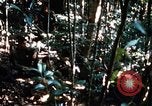 Image of 4th Infantry Division in Vietnam War Vietnam, 1969, second 32 stock footage video 65675025953