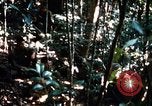 Image of 4th Infantry Division in Vietnam War Vietnam, 1969, second 33 stock footage video 65675025953