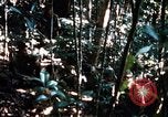 Image of 4th Infantry Division in Vietnam War Vietnam, 1969, second 35 stock footage video 65675025953