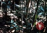 Image of 4th Infantry Division in Vietnam War Vietnam, 1969, second 36 stock footage video 65675025953