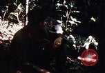 Image of 4th Infantry Division in Vietnam War Vietnam, 1969, second 38 stock footage video 65675025953