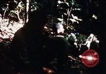 Image of 4th Infantry Division in Vietnam War Vietnam, 1969, second 39 stock footage video 65675025953