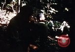 Image of 4th Infantry Division in Vietnam War Vietnam, 1969, second 40 stock footage video 65675025953