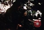 Image of 4th Infantry Division in Vietnam War Vietnam, 1969, second 41 stock footage video 65675025953