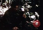 Image of 4th Infantry Division in Vietnam War Vietnam, 1969, second 50 stock footage video 65675025953