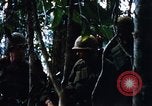 Image of 4th Infantry Division in Vietnam War Vietnam, 1969, second 52 stock footage video 65675025953