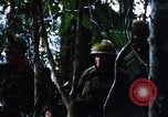 Image of 4th Infantry Division in Vietnam War Vietnam, 1969, second 59 stock footage video 65675025953