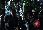 Image of 4th Infantry Division in Vietnam War Vietnam, 1969, second 61 stock footage video 65675025953
