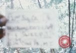 Image of 4th Infantry Division Vietnam, 1969, second 1 stock footage video 65675025954