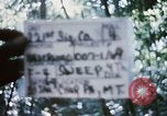 Image of 4th Infantry Division Vietnam, 1969, second 13 stock footage video 65675025954