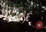 Image of 4th Infantry Division Vietnam, 1969, second 17 stock footage video 65675025954