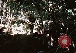 Image of 4th Infantry Division Vietnam, 1969, second 18 stock footage video 65675025954