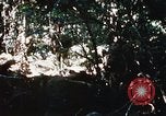 Image of 4th Infantry Division Vietnam, 1969, second 19 stock footage video 65675025954