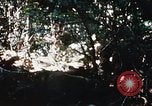 Image of 4th Infantry Division Vietnam, 1969, second 20 stock footage video 65675025954