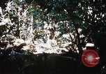 Image of 4th Infantry Division Vietnam, 1969, second 21 stock footage video 65675025954