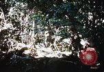 Image of 4th Infantry Division Vietnam, 1969, second 22 stock footage video 65675025954