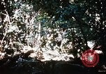 Image of 4th Infantry Division Vietnam, 1969, second 23 stock footage video 65675025954