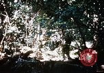Image of 4th Infantry Division Vietnam, 1969, second 24 stock footage video 65675025954