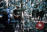 Image of 4th Infantry Division Vietnam, 1969, second 25 stock footage video 65675025954