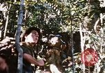 Image of 4th Infantry Division Vietnam, 1969, second 48 stock footage video 65675025954