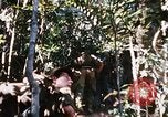 Image of 4th Infantry Division Vietnam, 1969, second 50 stock footage video 65675025954