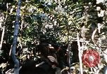 Image of 4th Infantry Division Vietnam, 1969, second 52 stock footage video 65675025954