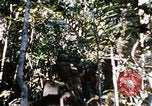 Image of 4th Infantry Division Vietnam, 1969, second 53 stock footage video 65675025954
