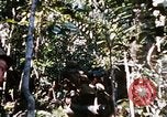 Image of 4th Infantry Division Vietnam, 1969, second 56 stock footage video 65675025954