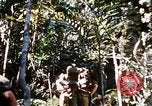Image of 4th Infantry Division Vietnam, 1969, second 58 stock footage video 65675025954