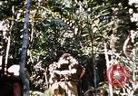 Image of 4th Infantry Division Vietnam, 1969, second 59 stock footage video 65675025954