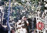 Image of 4th Infantry Division Vietnam, 1969, second 60 stock footage video 65675025954