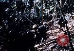Image of 4th Infantry Division Vietnam, 1969, second 61 stock footage video 65675025954