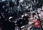 Image of 4th Infantry Division Vietnam, 1969, second 62 stock footage video 65675025954