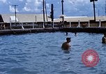 Standbild Swimmingpool Dong Tam Vietnam, 1969, aus Sekunde 53 historischem Filmmaterial Videoclip 65675025963
