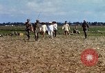 Immagine di Interrogazione sospetti Tan Tru lungo un Vietnam del Sud, 1967, secondo 15 filmato di repertorio 65675025977