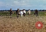 Immagine di Interrogazione sospetti Tan Tru lungo un Vietnam del Sud, 1967, secondo 16 filmato di repertorio 65675025977