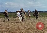 Immagine di Interrogazione sospetti Tan Tru lungo un Vietnam del Sud, 1967, secondo 21 filmato di repertorio 65675025977