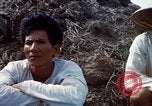 Immagine di Interrogazione sospetti Tan Tru lungo un Vietnam del Sud, 1967, secondo 33 filmato di repertorio 65675025977