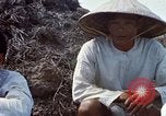 Immagine di Interrogazione sospetti Tan Tru lungo un Vietnam del Sud, 1967, secondo 35 filmato di repertorio 65675025977
