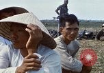 Immagine di Interrogazione sospetti Tan Tru lungo un Vietnam del Sud, 1967, secondo 47 filmato di repertorio 65675025977