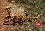 Immagine di Booby intrappolato Viet Cong rimane Il Vietnam, 1967, secondo 9 filmato di repertorio 65675025979