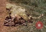 Immagine di Booby intrappolato Viet Cong rimane Il Vietnam, 1967, secondo 11 filmato di repertorio 65675025979