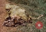 Immagine di Booby intrappolato Viet Cong rimane Il Vietnam, 1967, secondo 13 filmato di repertorio 65675025979
